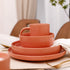 20-Piece Nordic Speckled Rose Dinnerware Set