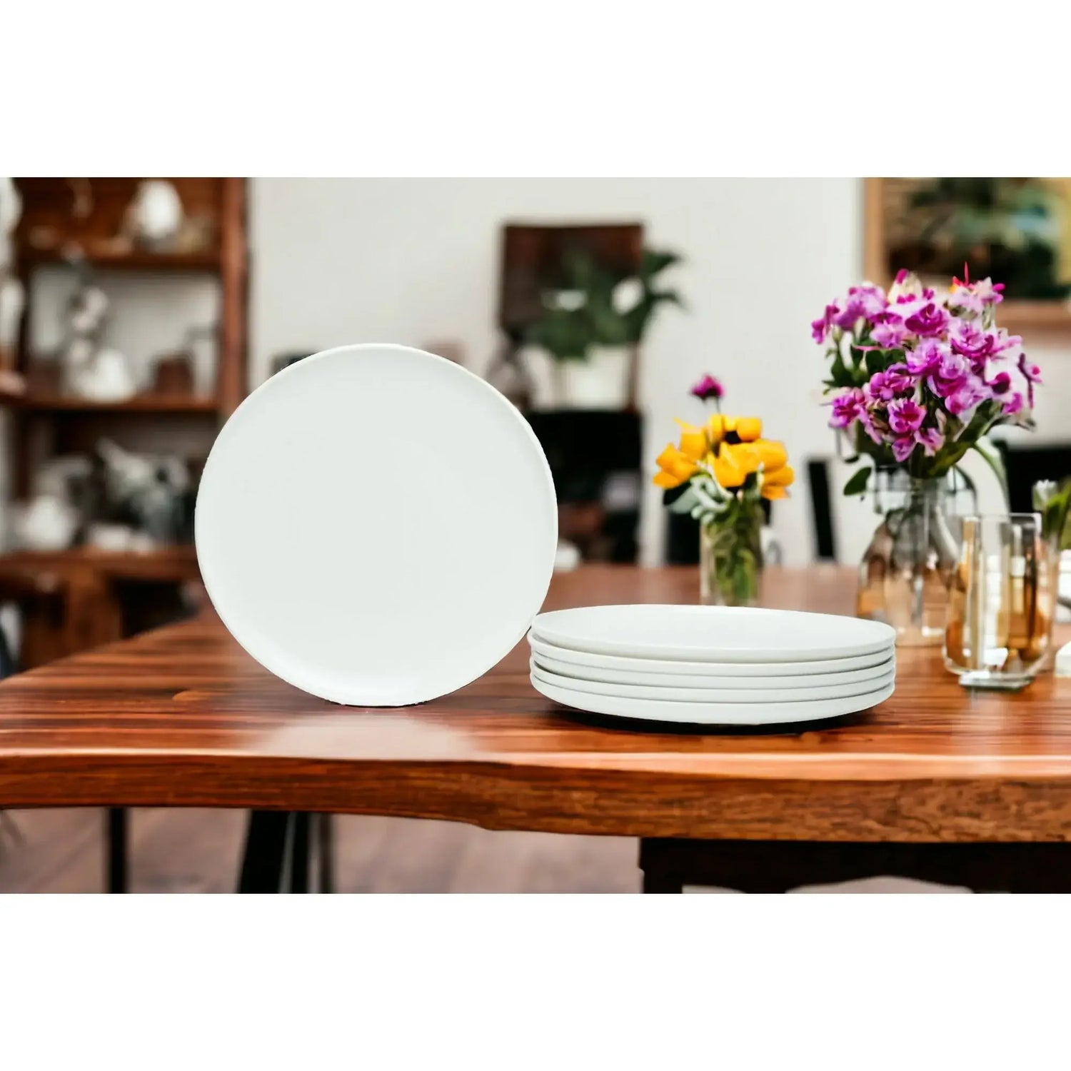 6-Piece White Porcelain Plate Set
